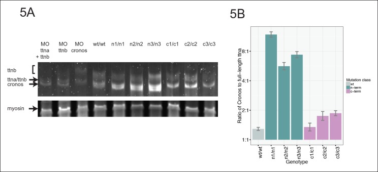 Figure 5.