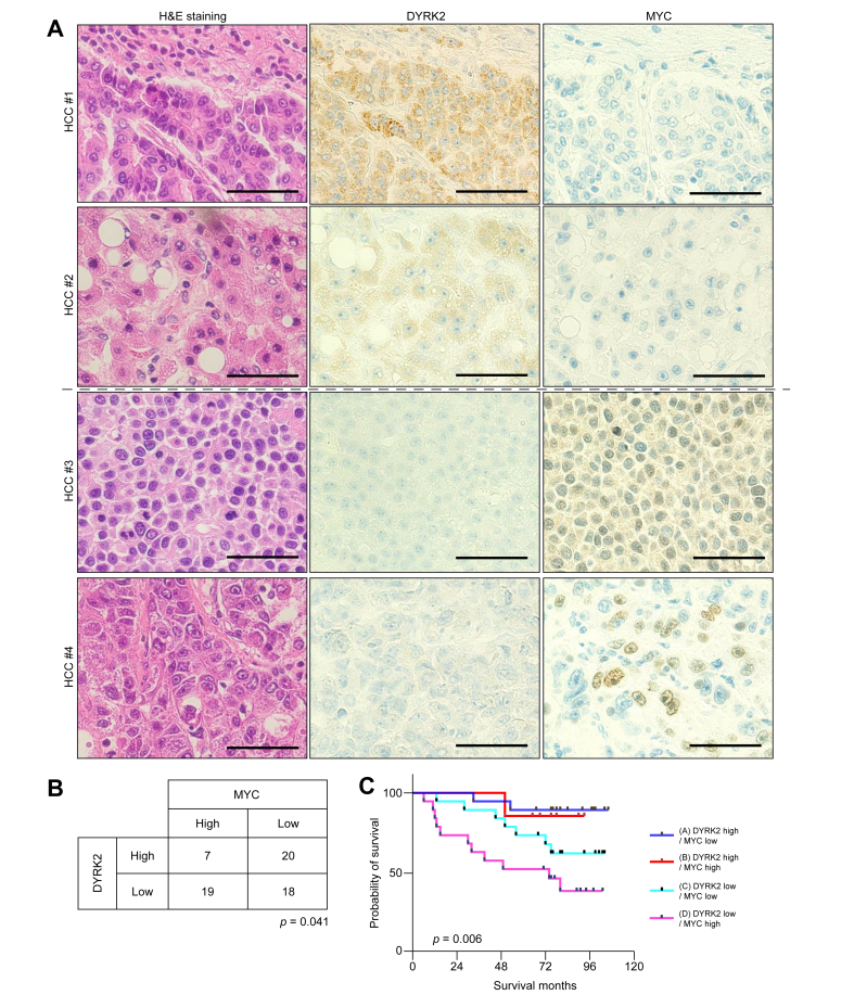 Fig. 7