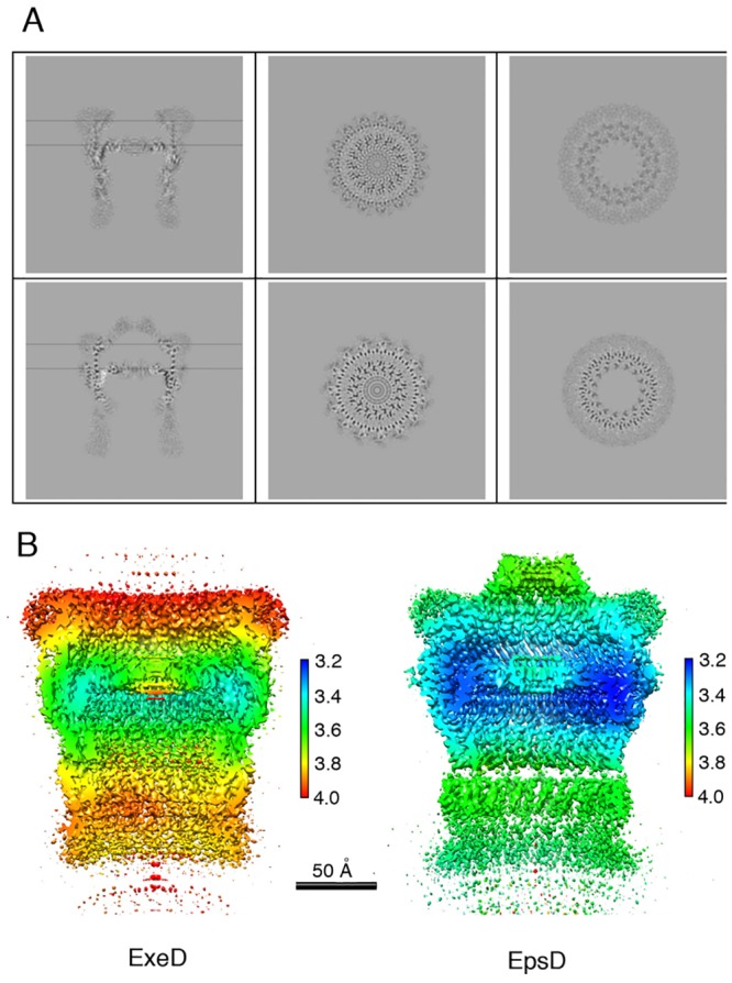 Fig 3