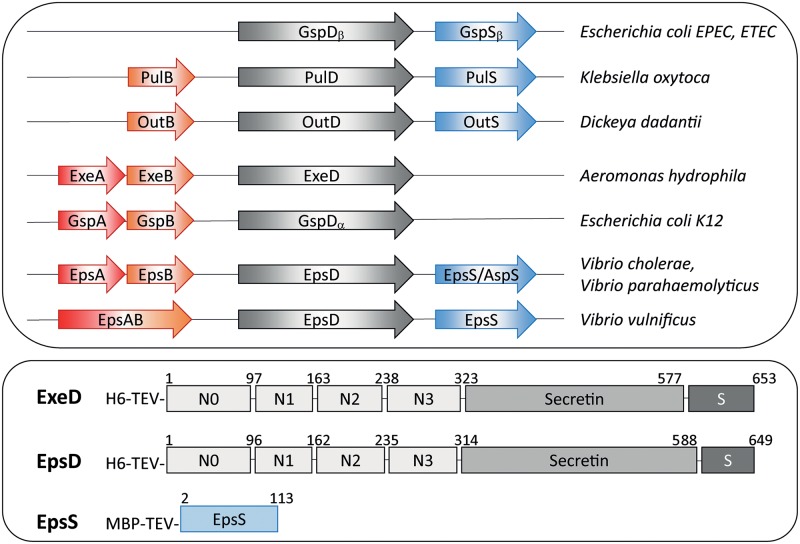 Fig 1