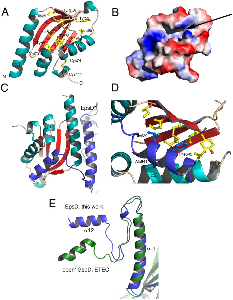 Fig 6