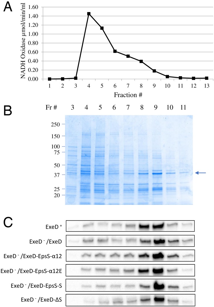 Fig 10