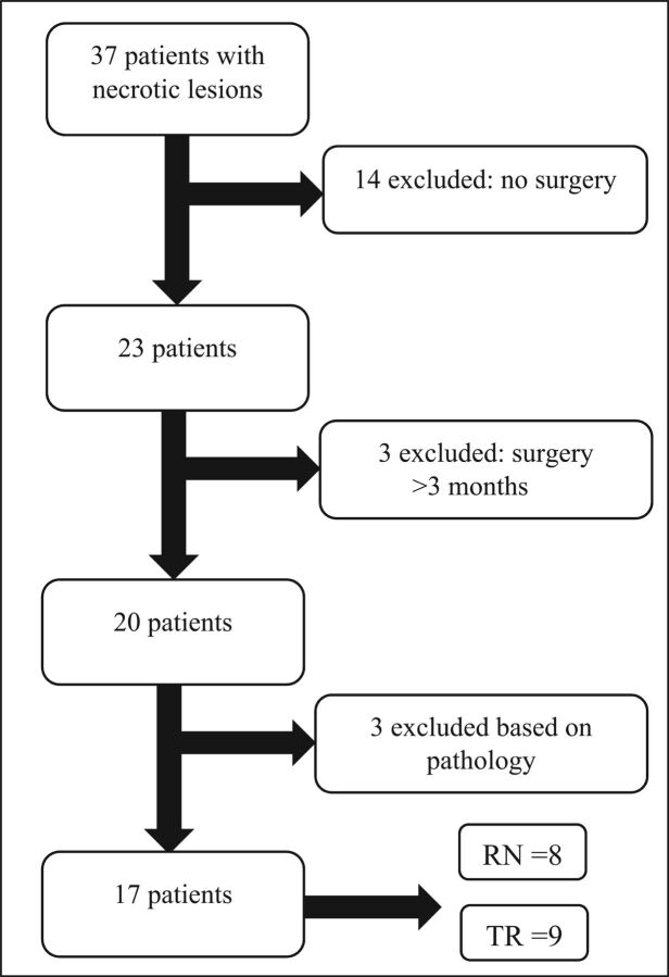 Fig 3.