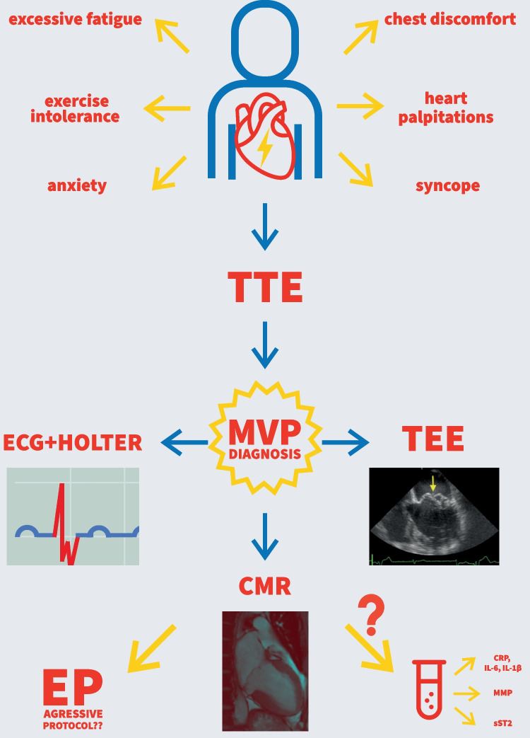 Fig. 3