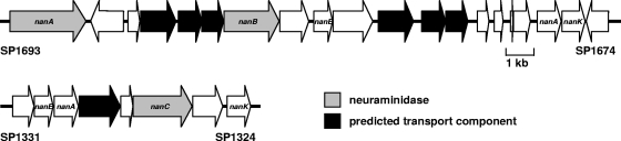 FIG. 2.