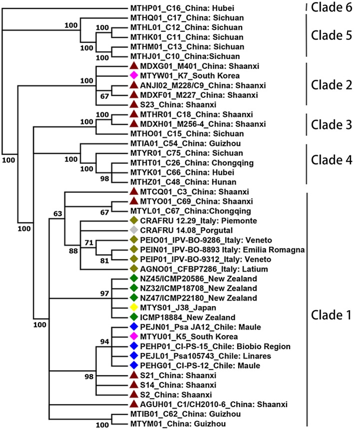 Figure 2