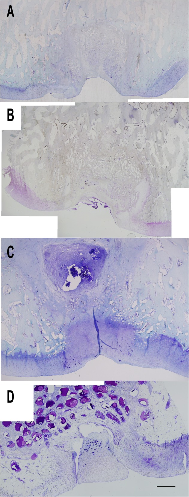 Fig. 10