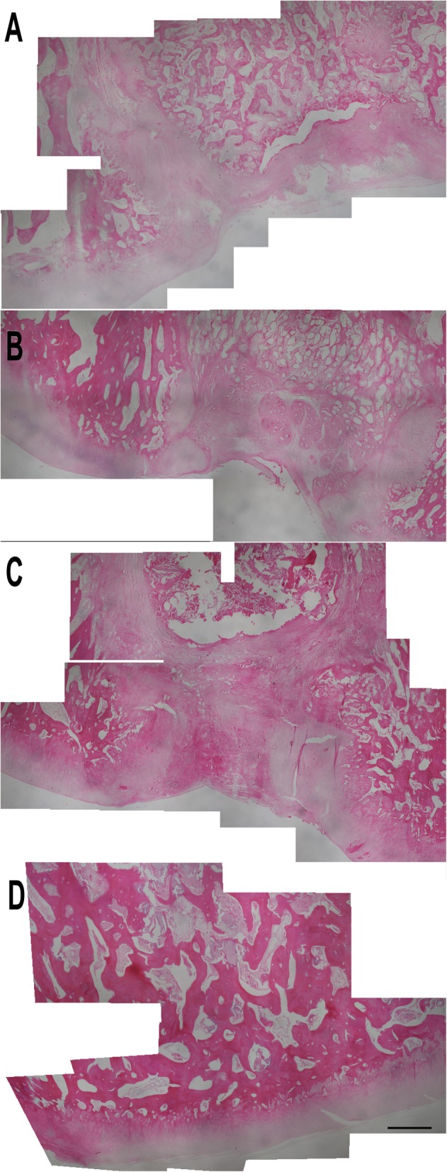 Fig. 9