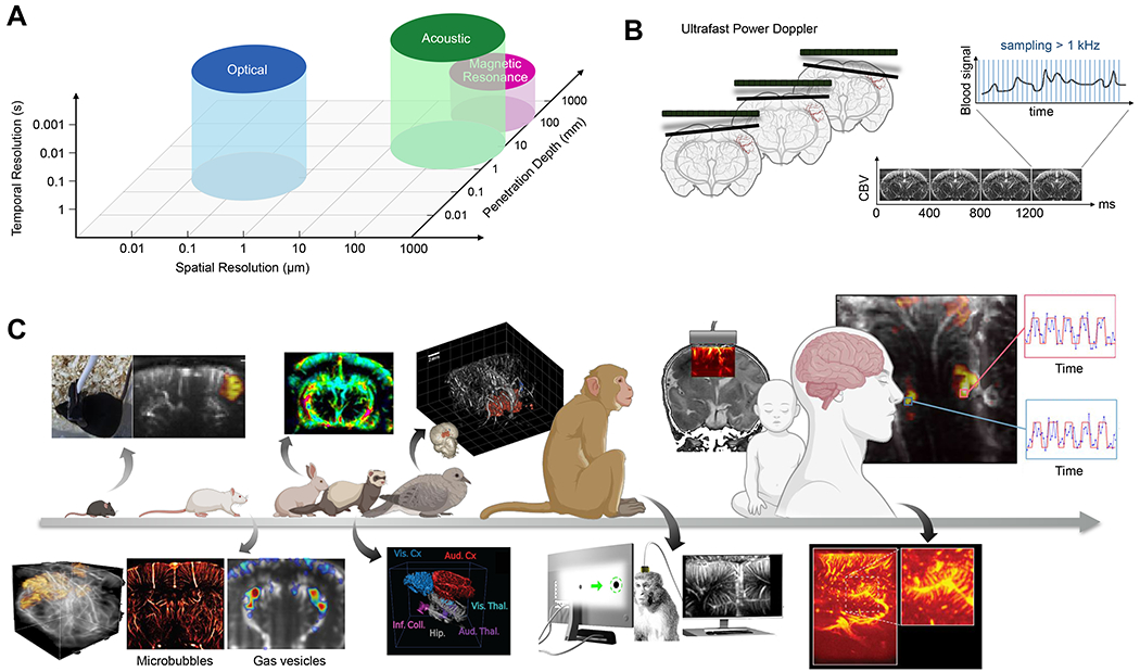 Figure 2 -