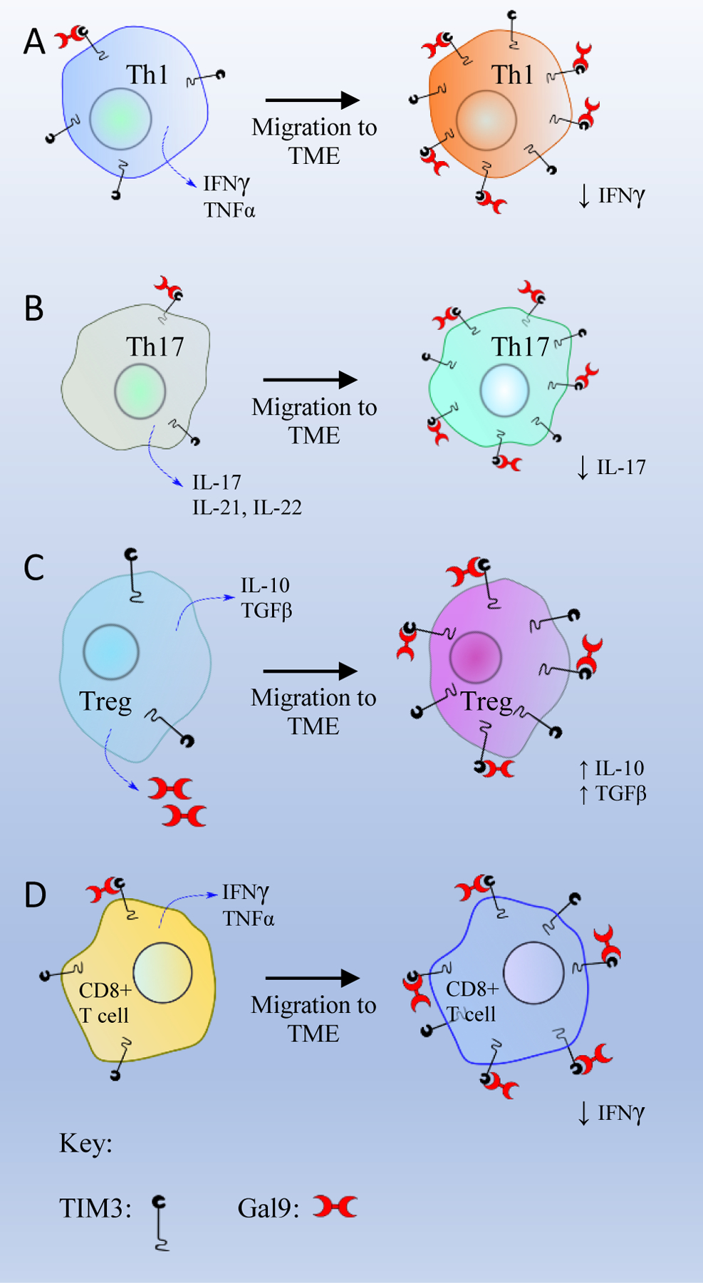 Figure 3: