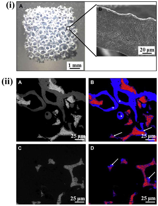 Fig. 11