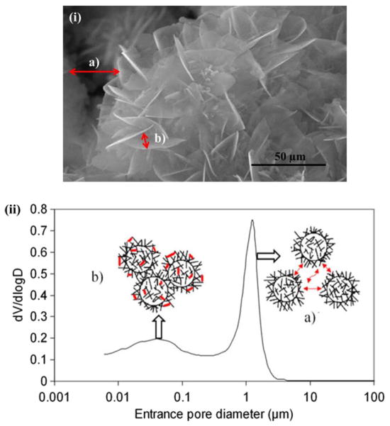 Fig. 17