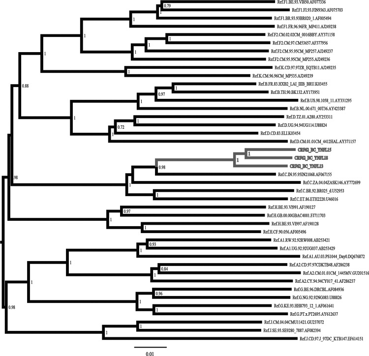 FIG. 1.