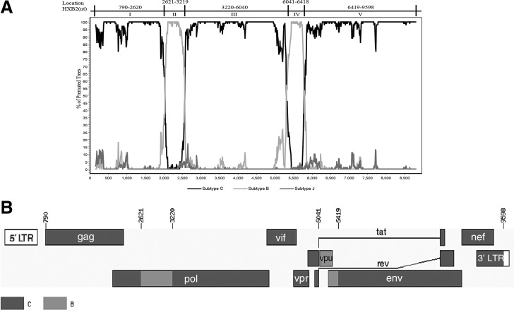 FIG. 2.