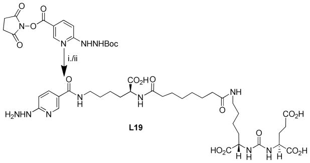 Scheme 5