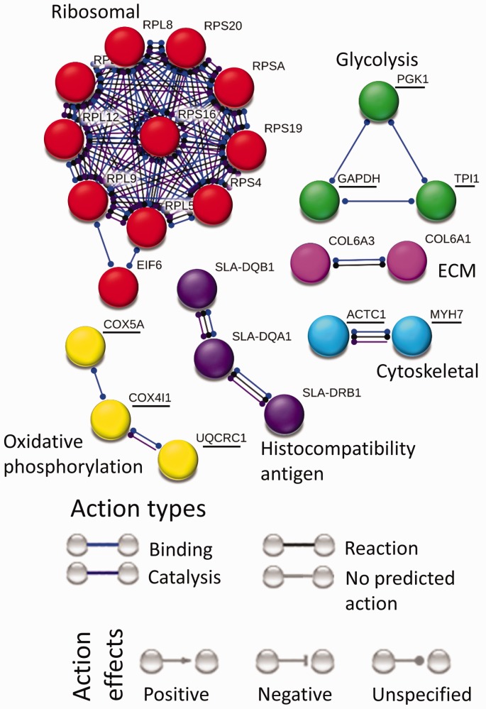 Figure 6.