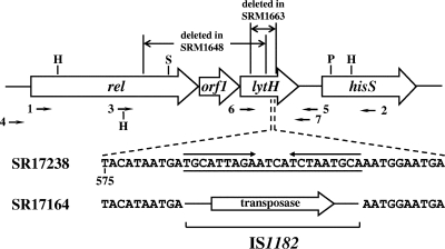 FIG. 1.