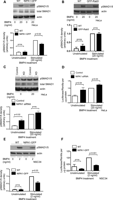 Figure 2.