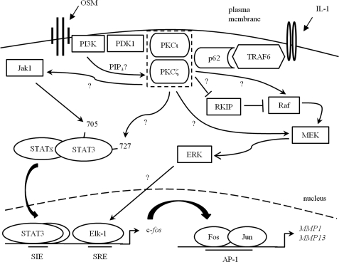 FIGURE 10.