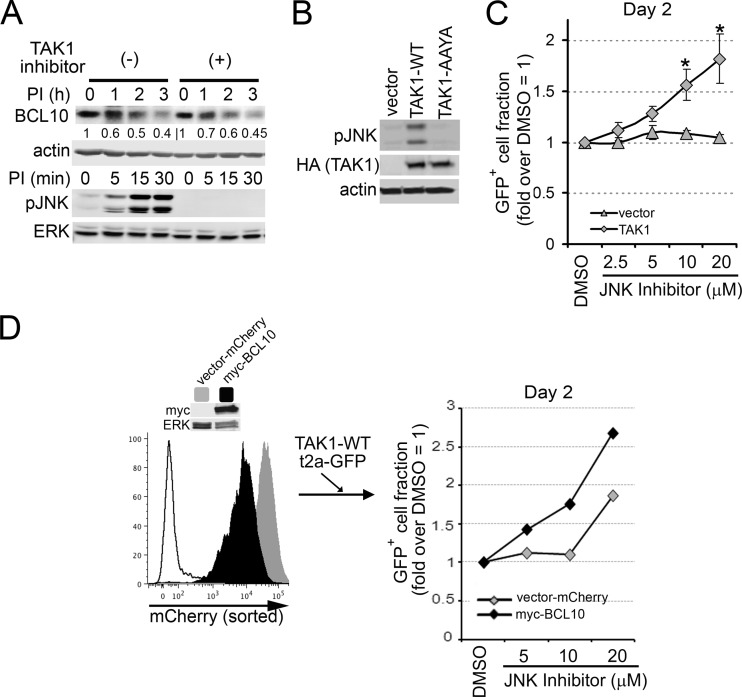 Fig 10