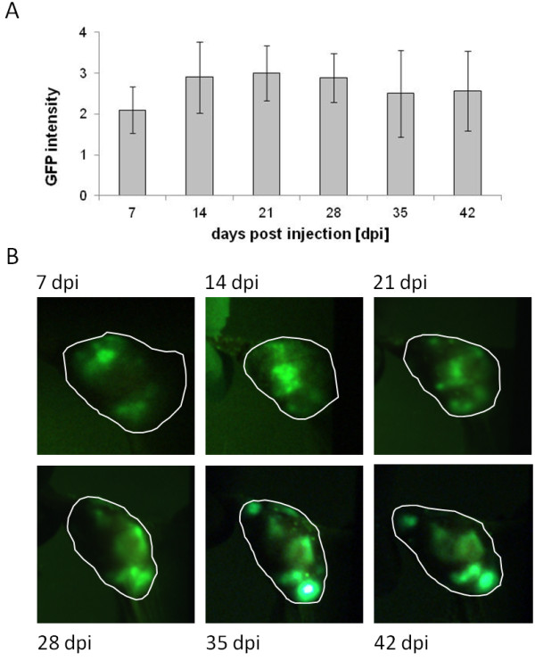 Figure 7