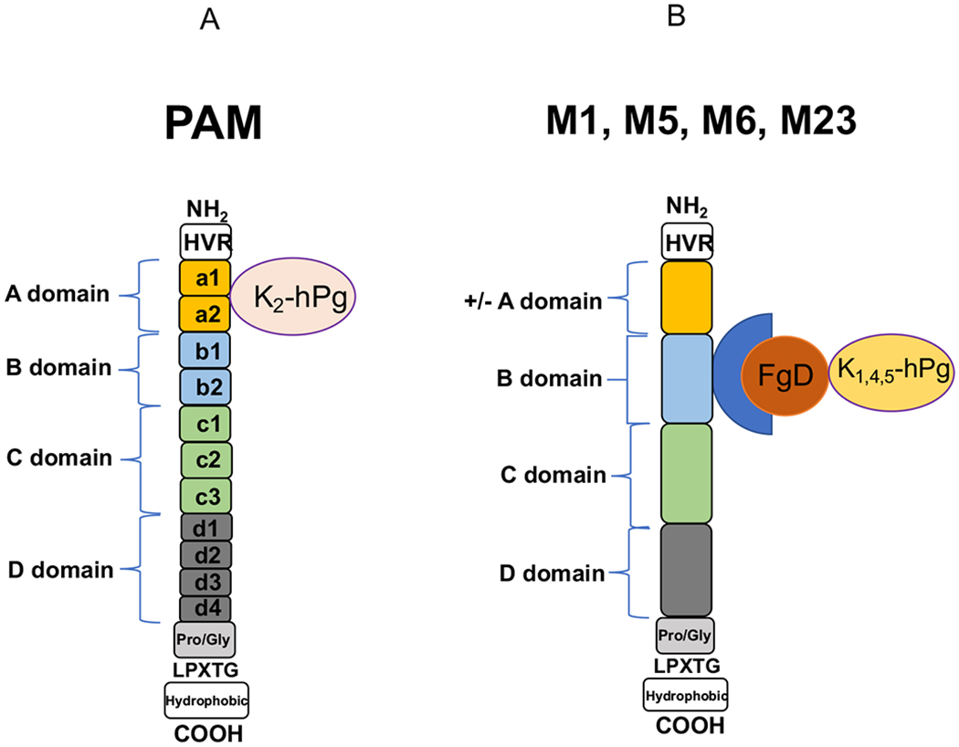 Fig. (3).