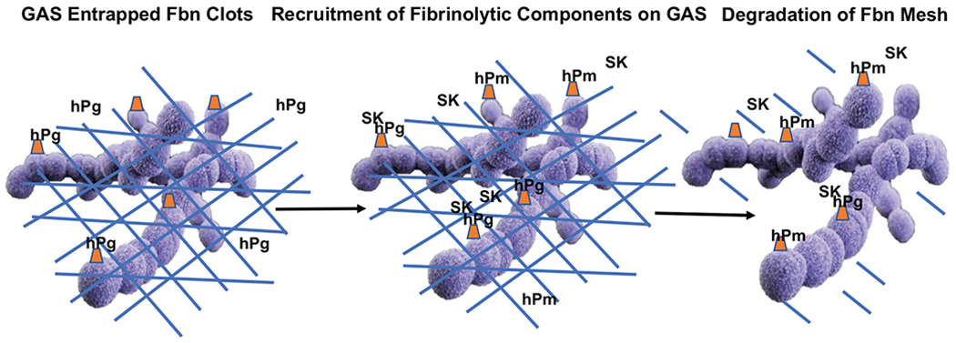 Fig. (2).