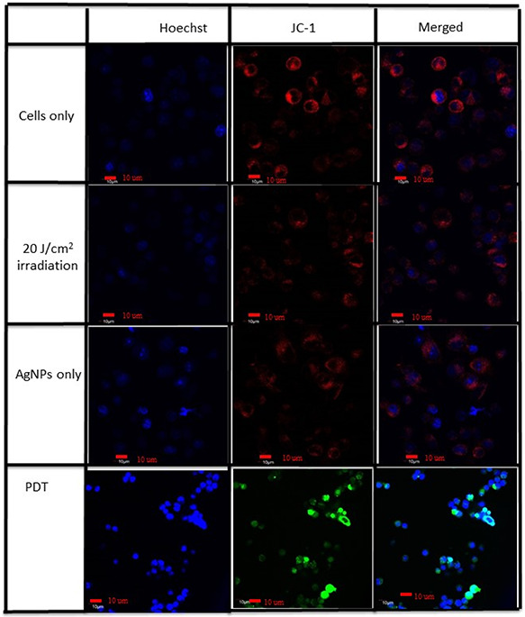 Fig. 4