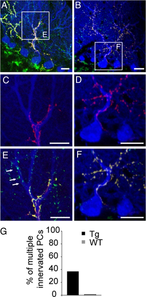 Fig. 4.