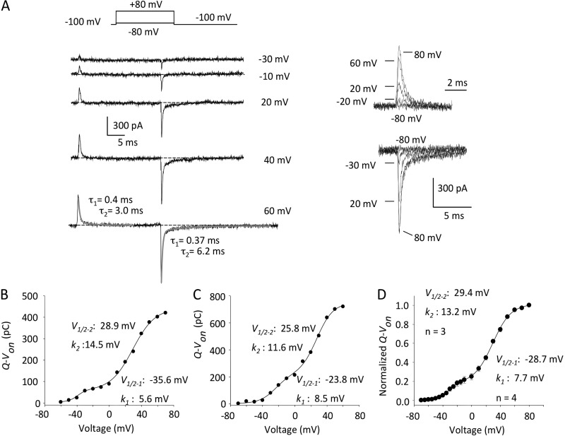 Figure 2.