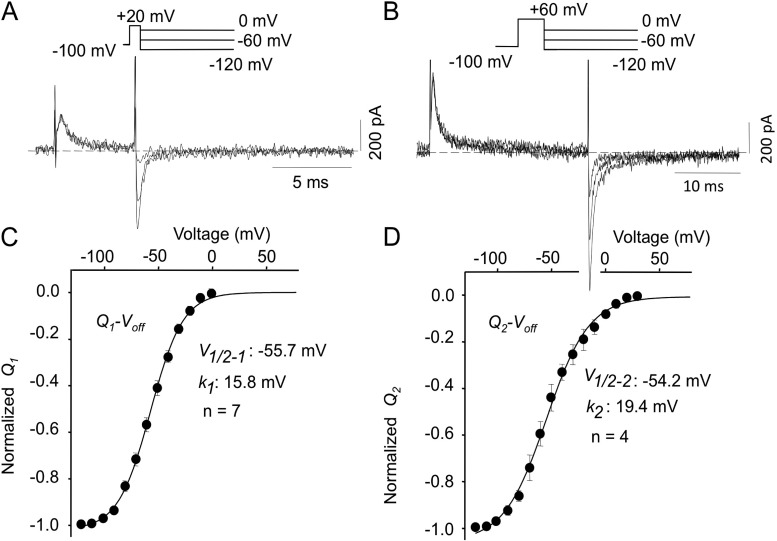 Figure 5.