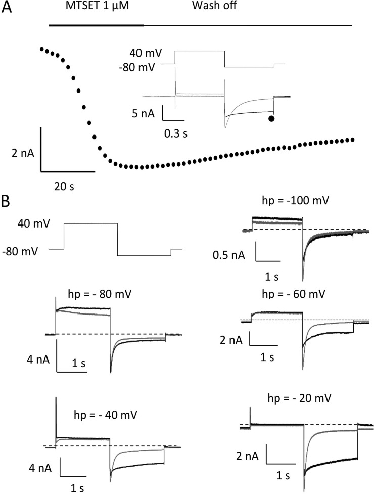 Figure 7.