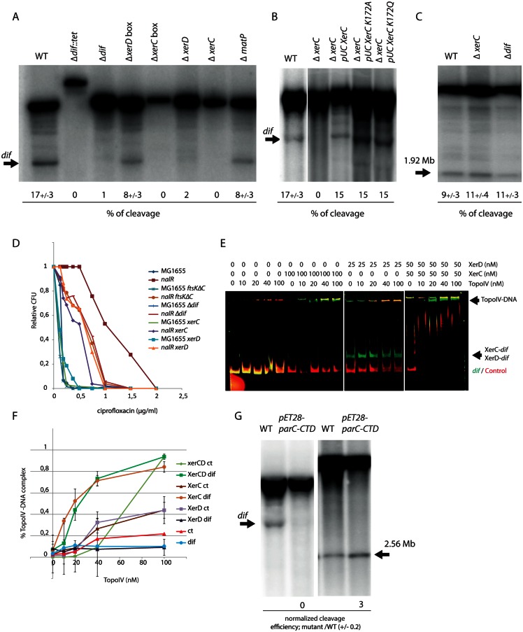 Fig 4