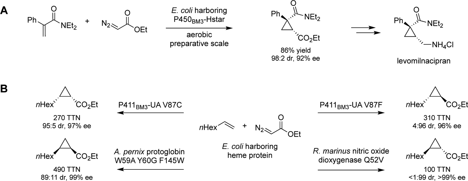 Scheme 2.