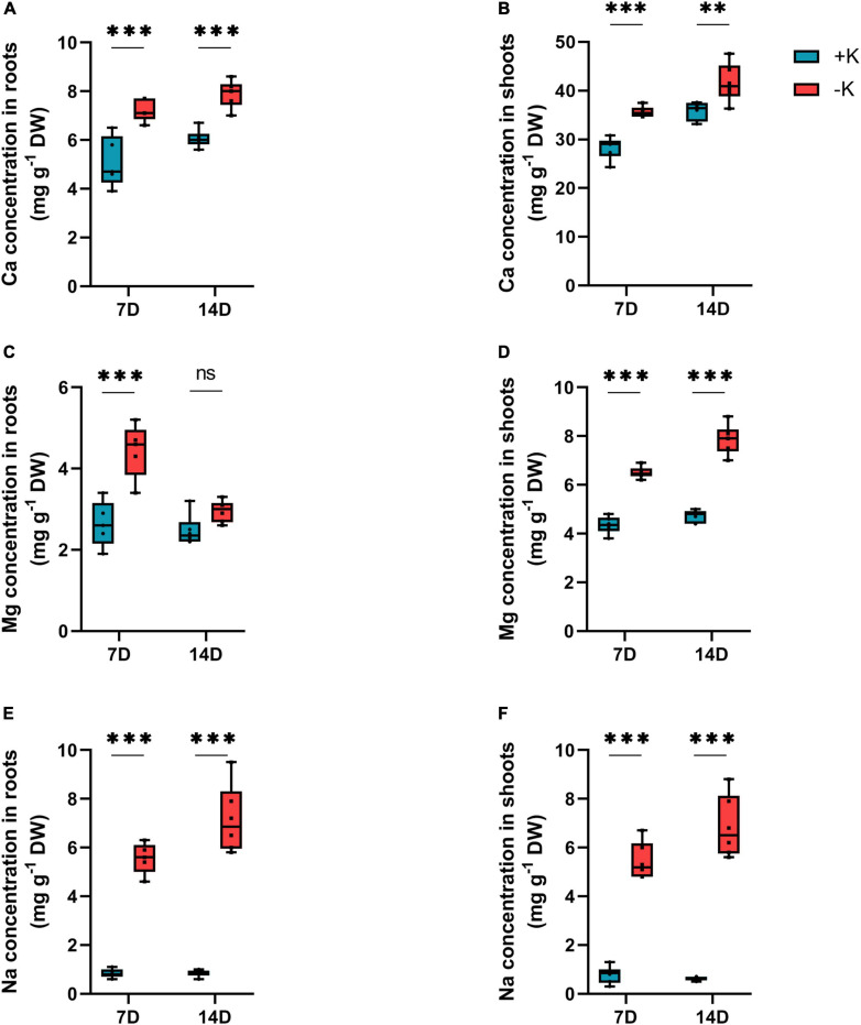 FIGURE 3