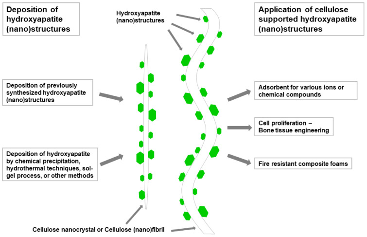 Scheme 6