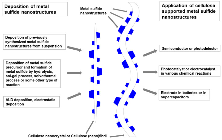 Scheme 5