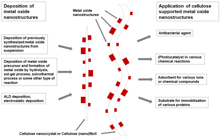 Scheme 2