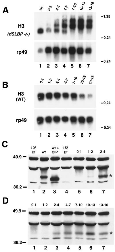 FIG. 8.