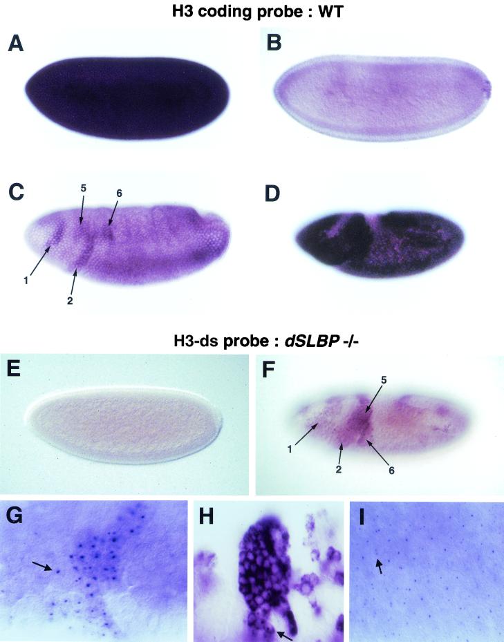 FIG. 9.