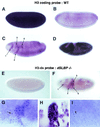 FIG. 9.