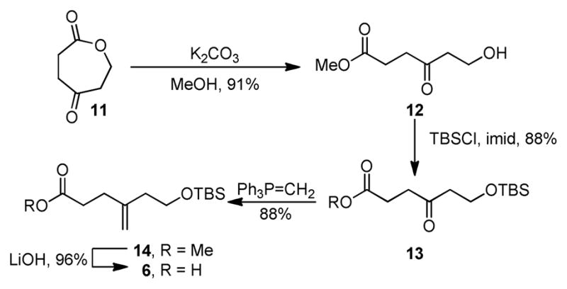 Scheme 2