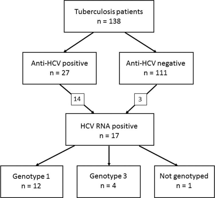 Detection of anti-hepatitis C virus (HCV) antibodies and HCV RNA in serum samples of Brazilian patients with tuberculosis and HCV genotypes.