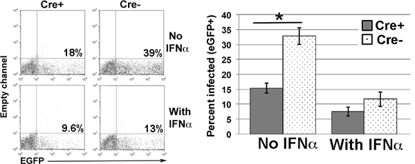 Figure 9.