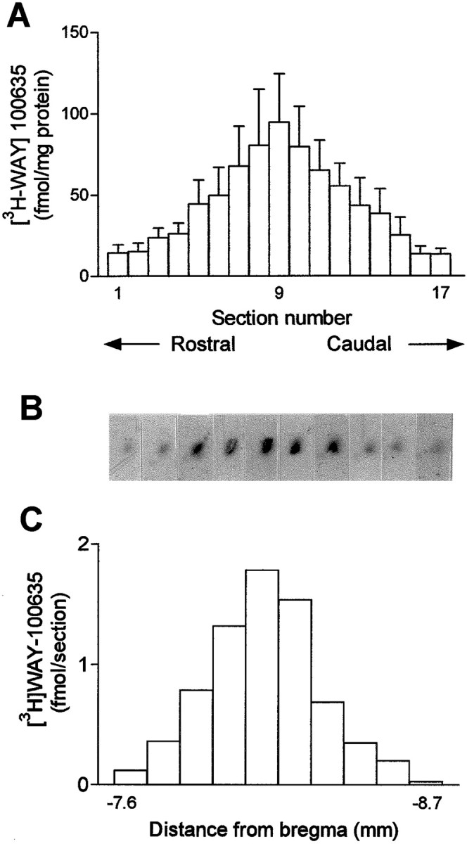 Fig. 9.