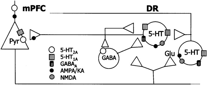 Fig. 12.