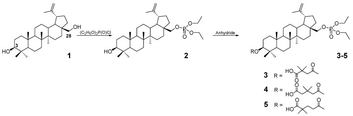 Scheme 1