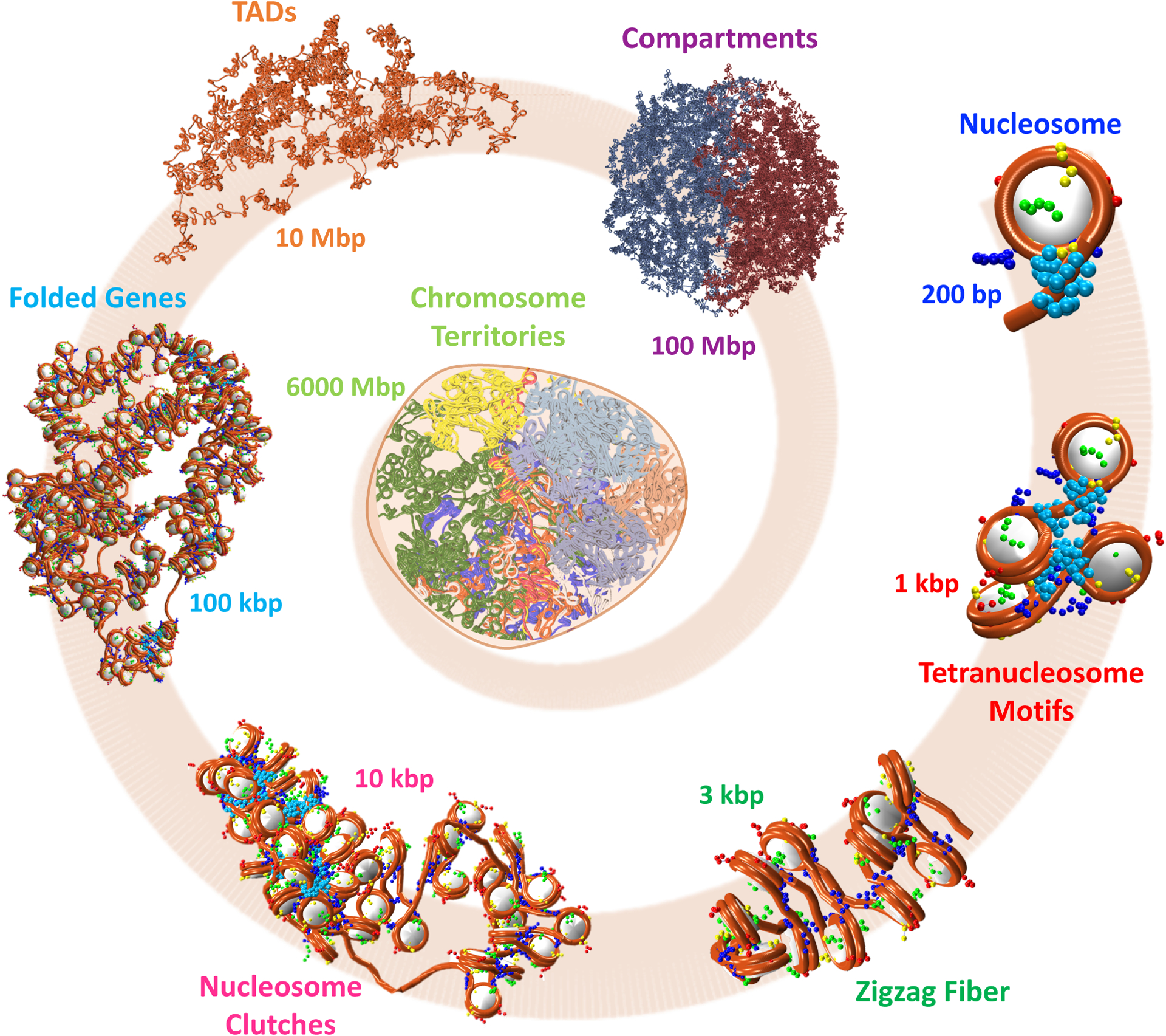 Figure 1: