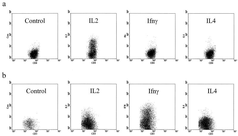 FIG. 10.