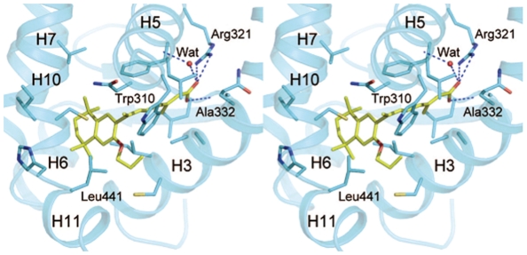 Figure 5